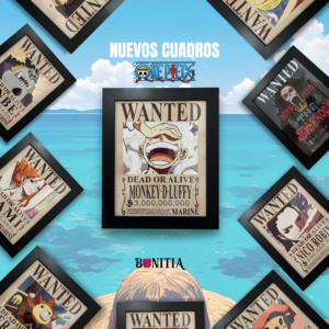 Cuadros de One Piece