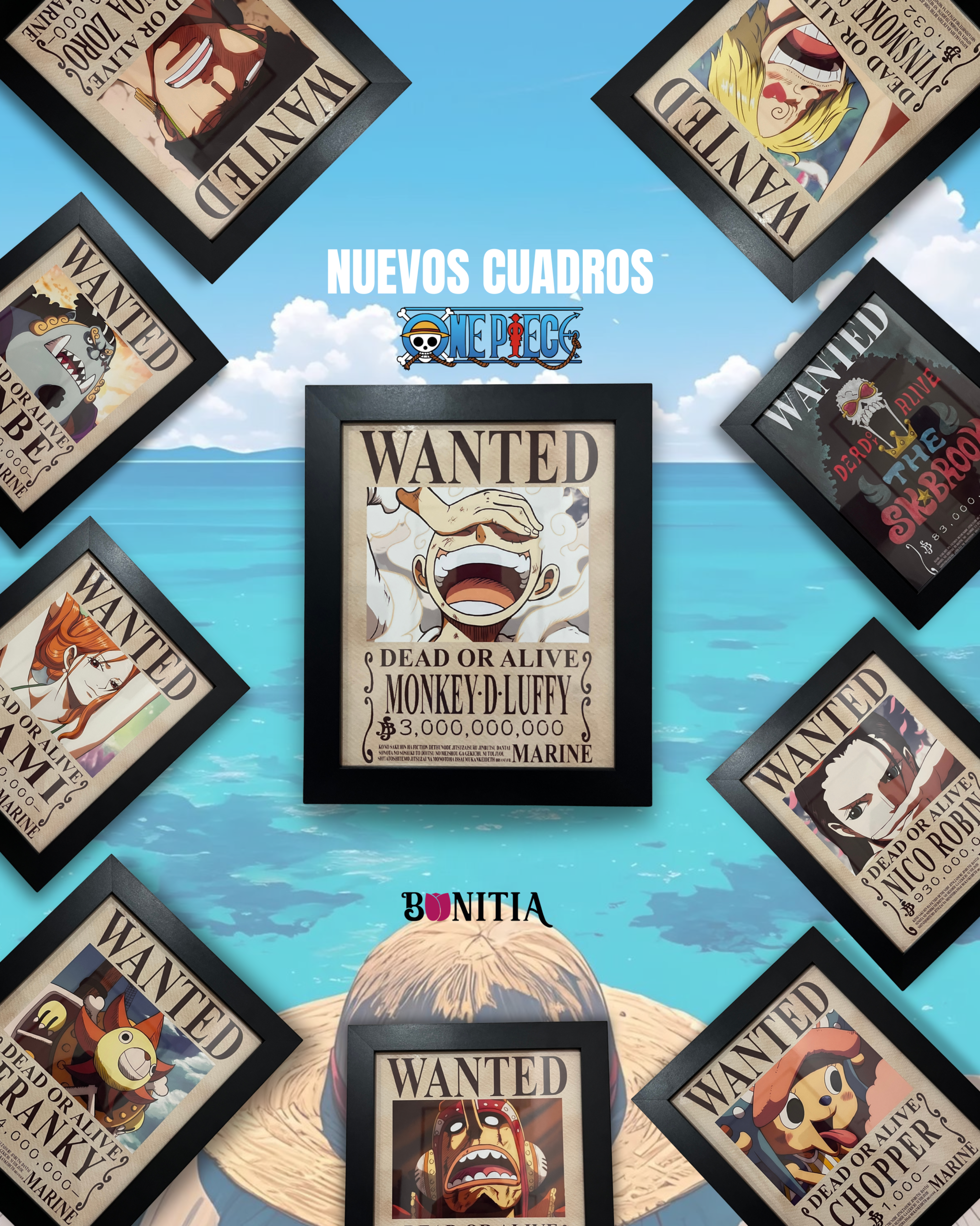 Cuadros de One Piece