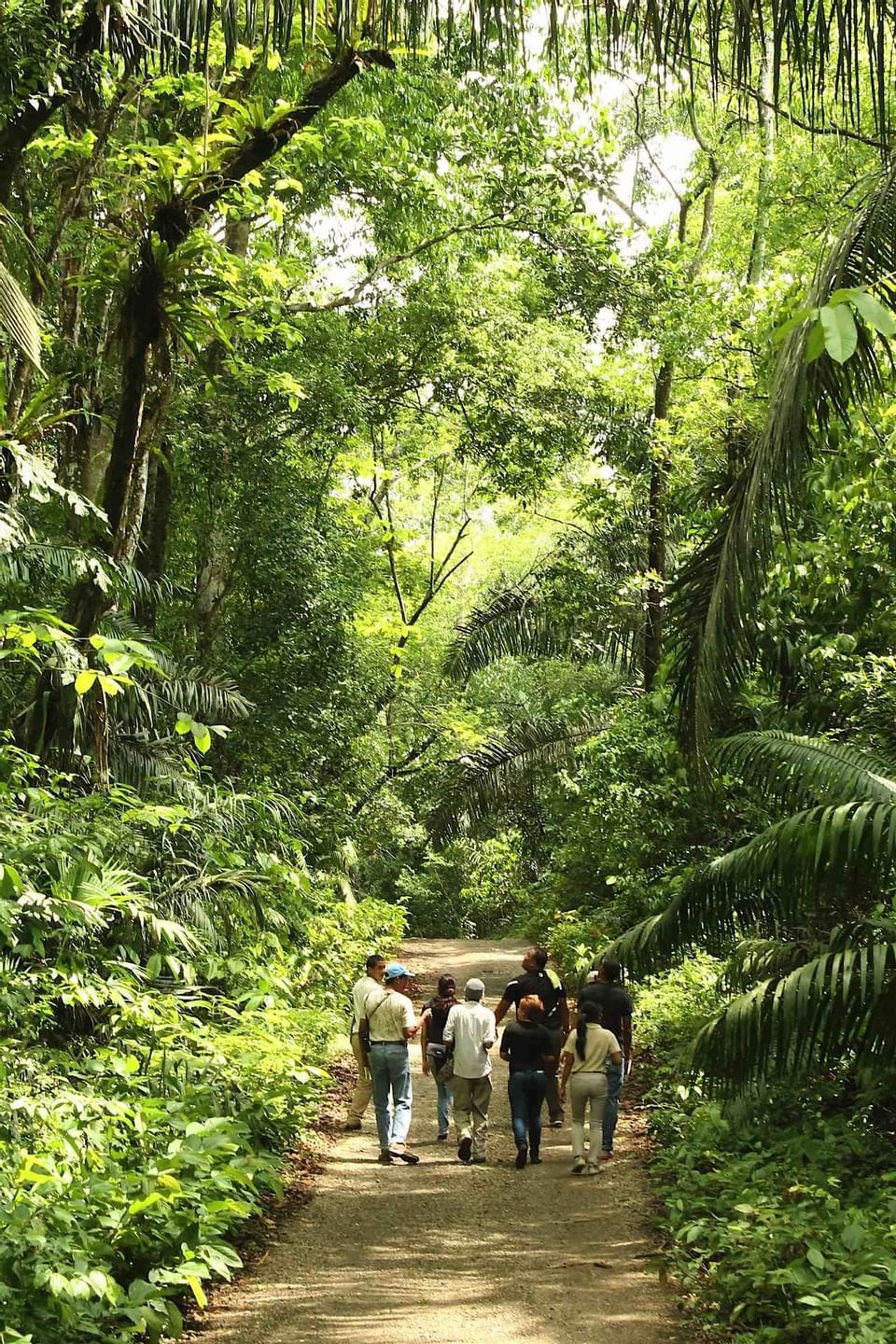 gamboa sendero.jpg